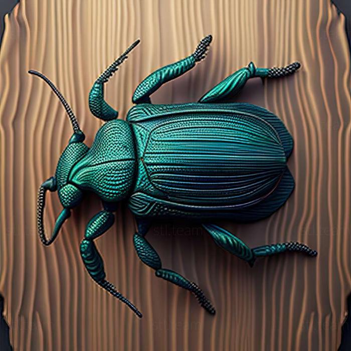 Carabus smaragdinus